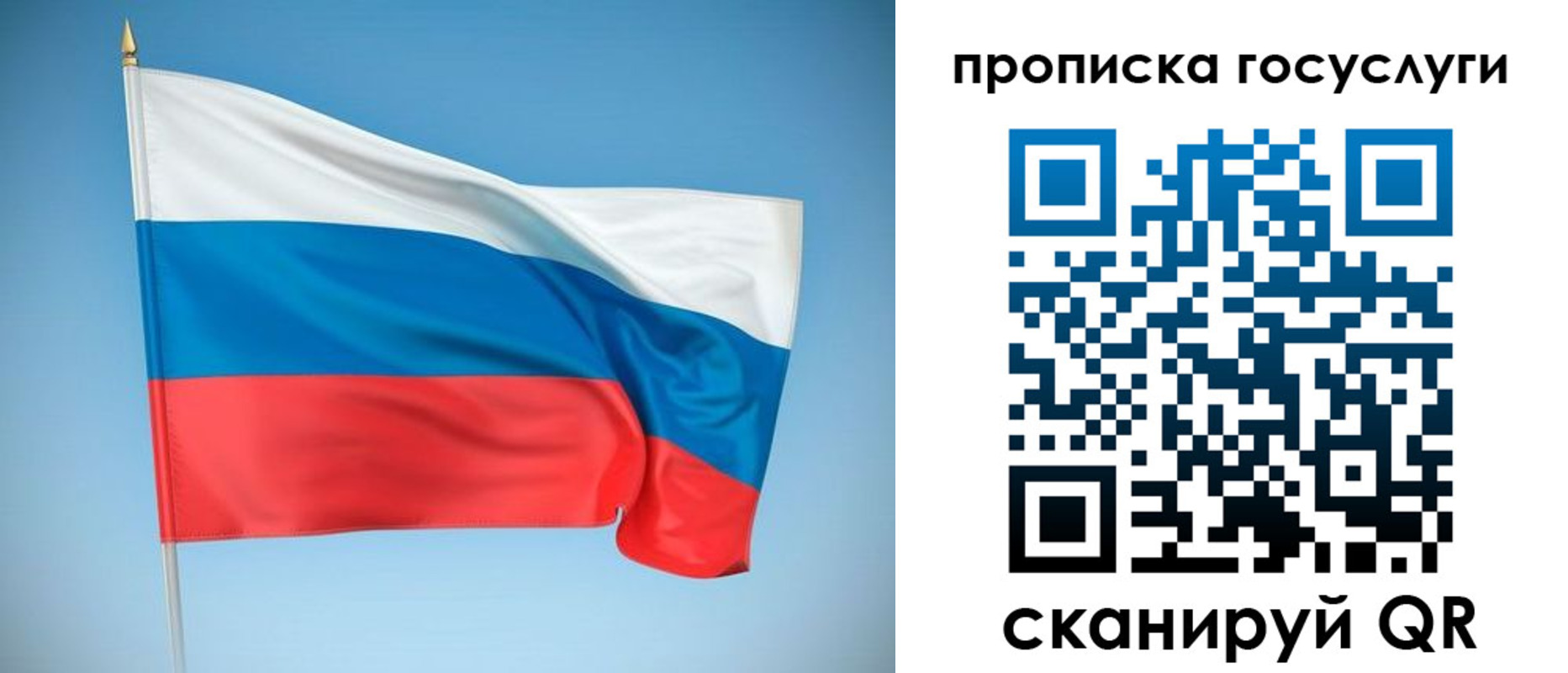 регистрация для школы в Снежногорске